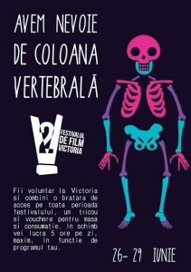 voluntar festival victoria