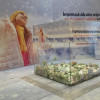 aripi de bucurie - sun plaza