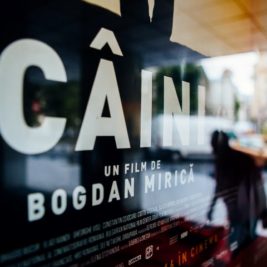 filmul caini de bogdan mirica